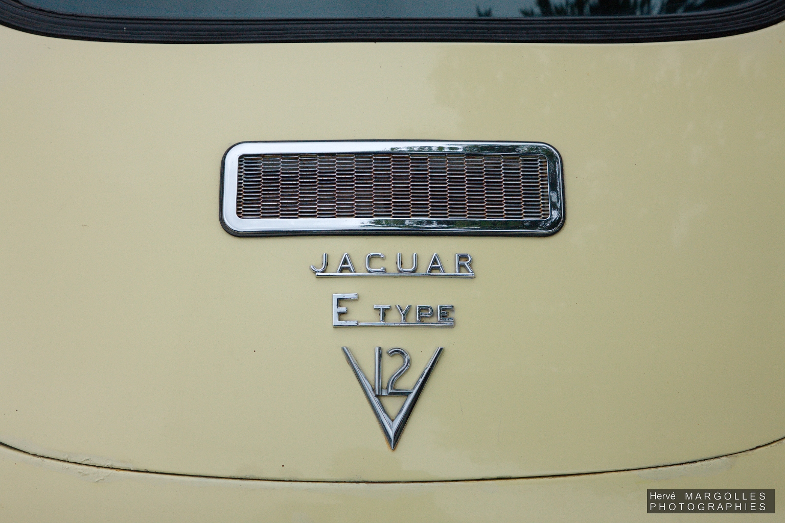 Jaguar Type E-02.jpg